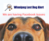 Important – Facebook Issues Today