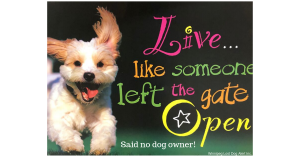 Keep Gates Closed No Matter What Your Dog Says!
