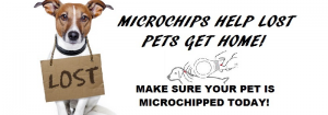 Microchip Reader Project update